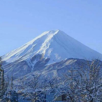 桃花奇缘手游(暂未上线)v1.25.225 安卓版